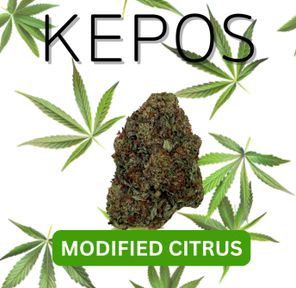 Kepos - Mod Citrus 14g - PREMIUM FLOWERS