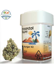 Coastal Sun - Burger 42 3.5g