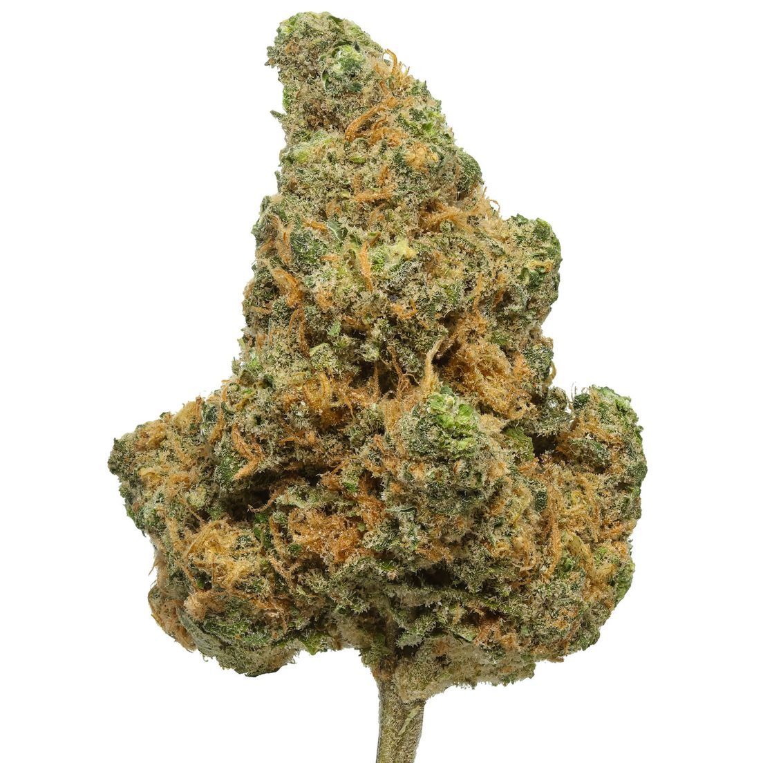 BLUE DREAM 14 Grams Humboldt Grown
