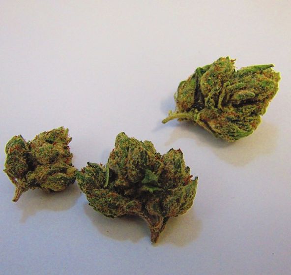 (PRE-ORDER ONLY) SFV OG -1oz (17.22% THC) Lumen