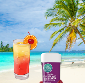 Island Punch (Fast Acting) - Wana - 100mg/10PK