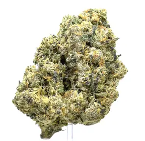 Candy Jack (LSO)