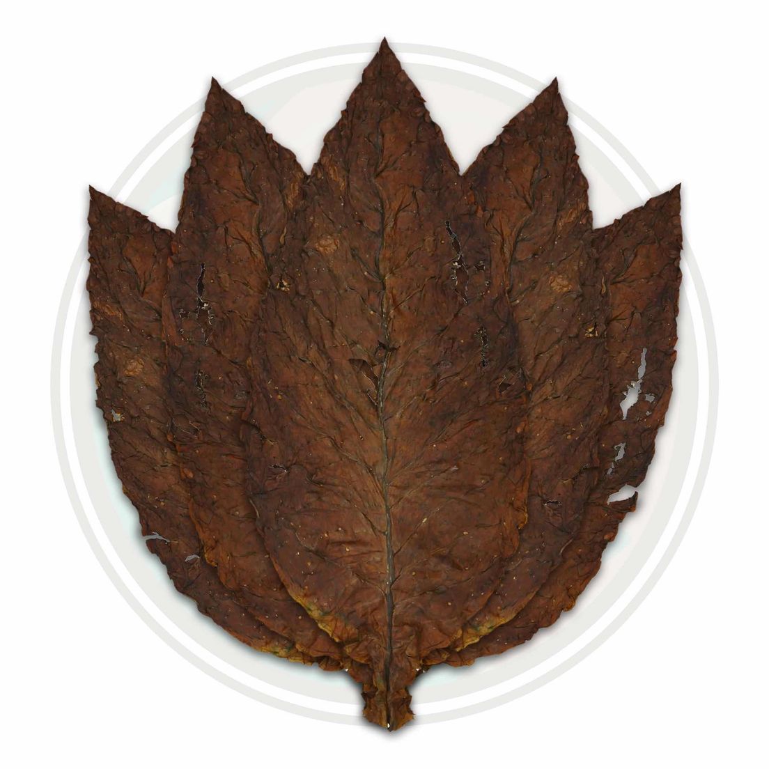 Grabba Tobacco Leaf