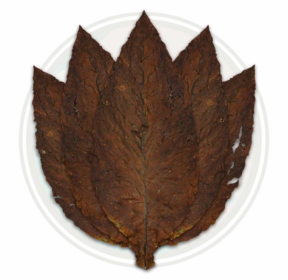 Grabba Tobacco Leaf