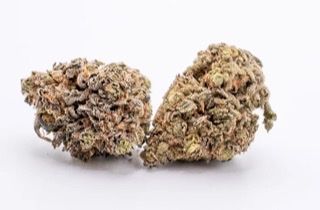 Brain Candy