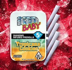Iced - Tropicana Cookies 5pk Infused Pre Rolls - 2.5 g