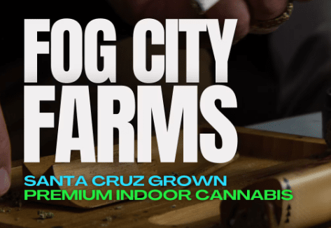 Fog City Farms - Shark Bites - Coastal Runtz - 1.4g - Rosin Infused Preroll - Hybrid