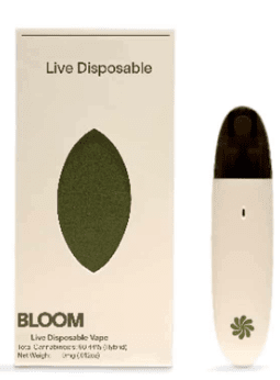 Bloom Extracts - Banana Mango - Live Resin All In One - 1g - Sativa