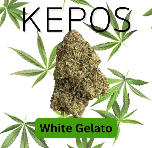 Kepos - White Gelato 14g