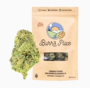 Burr's Place 28g Carbon Fiber $80