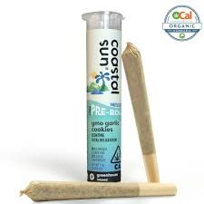 Coastal Sun - GMO Garlic Cookies 2pk Infused Preroll .75/2 1.5g