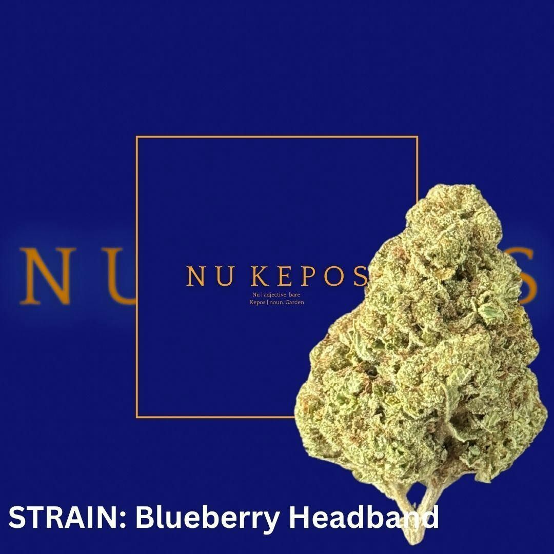 Kepos - Blueberry headband - Premium Flower - 14G