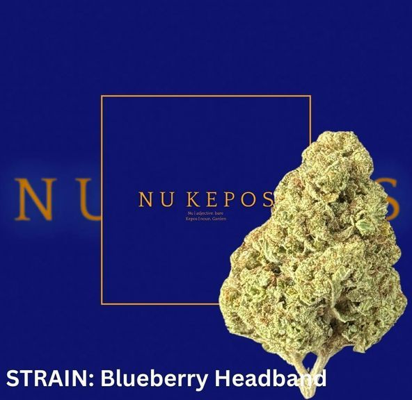Kepos - Blueberry headband - Premium Flower - 14G