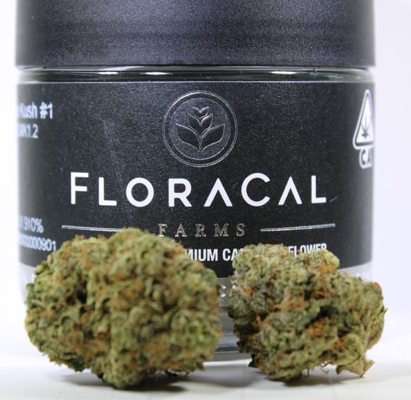 Lemon Meringue Kush #1 -3.5g (30.23% THC) FloraCal