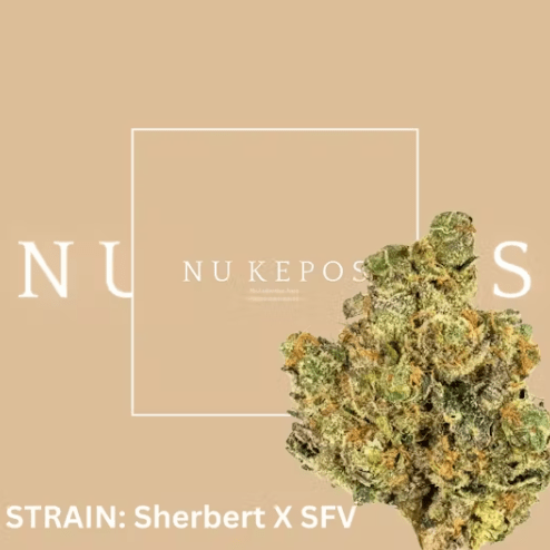 Kepos - Sherbert x SFV 3.5g