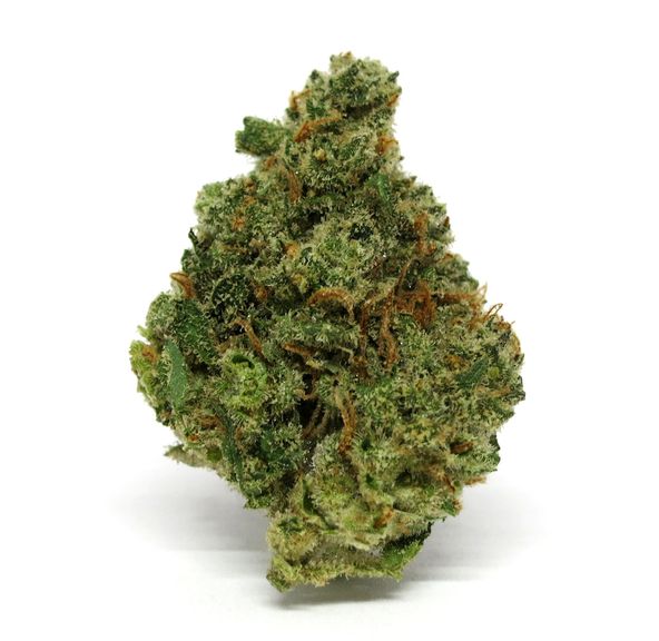 3C | Jack Kraken 3.5g