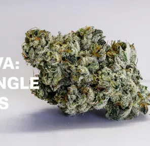 Triangle Mints