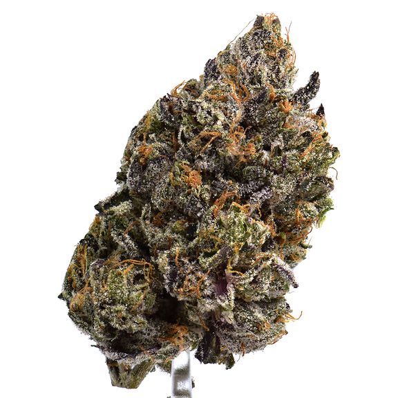 Black Gas
