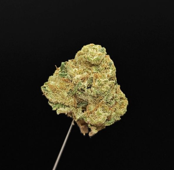 West Coast Treez - Banana Punch 3.5g