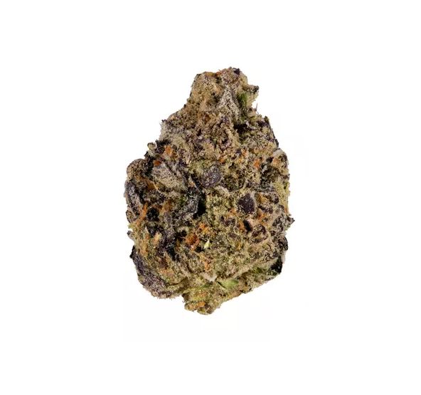 Biscotti - Blue