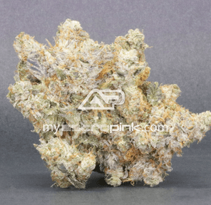 Astropink | Lot #1024 | ATOMIC PINK | *JANUARY 20th DROP*