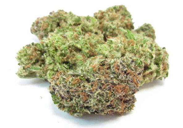 B. Planta Cannabis Company 3.5g Exotic Flower - Quality 9.5/10 - Gelonade