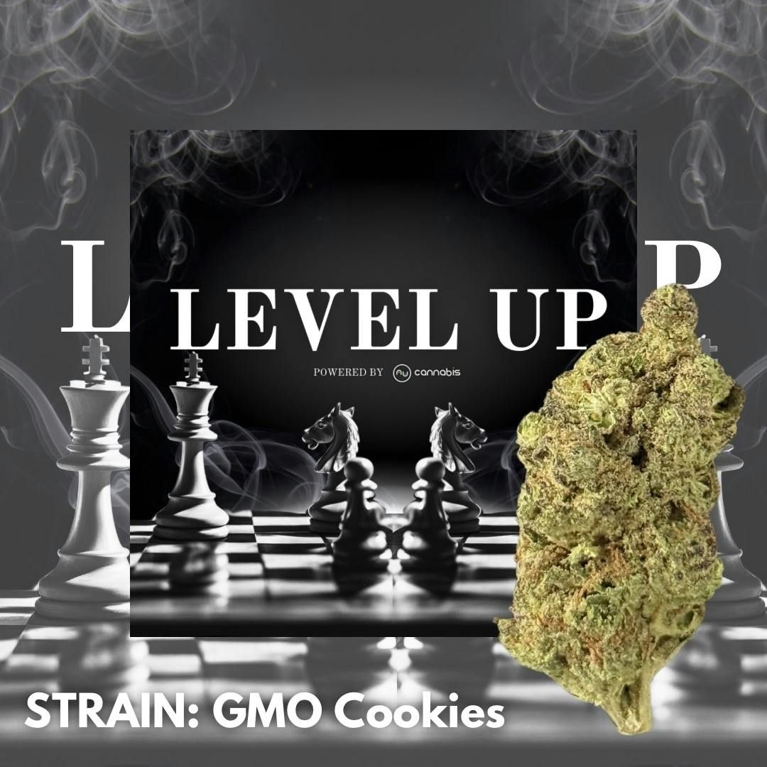 Level Up - GMO Cookies - Premium Flower - 14G