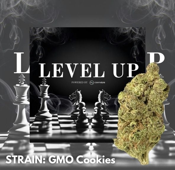 Level Up - GMO Cookies - Premium Flower - 14G