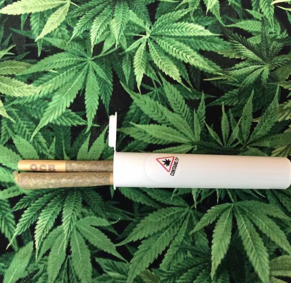 Dog Walker Preroll | Twofer | CannaRx 0.75g x 2
