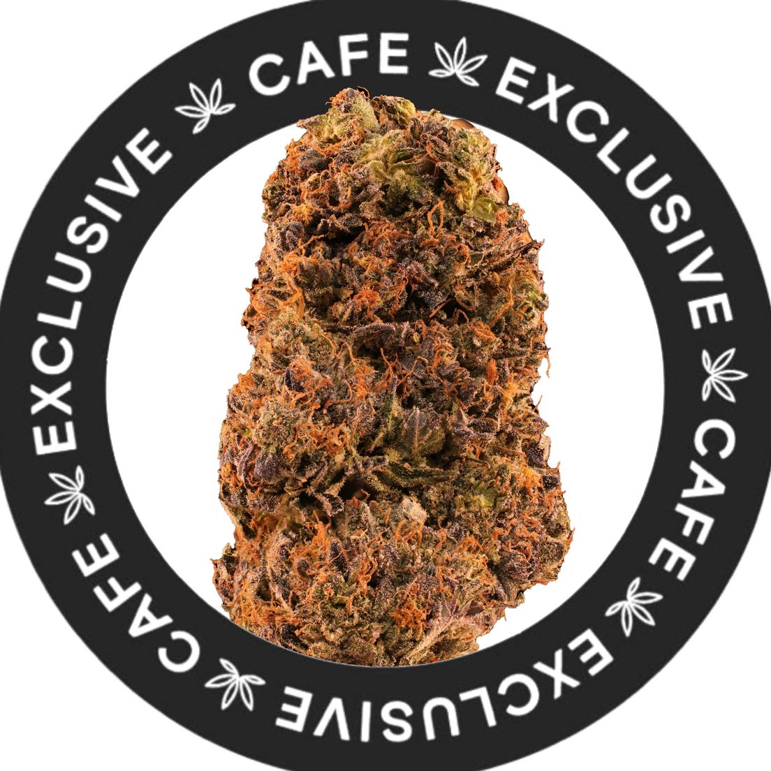 7G CAFE EXCLUSIVES- DEMON PINK