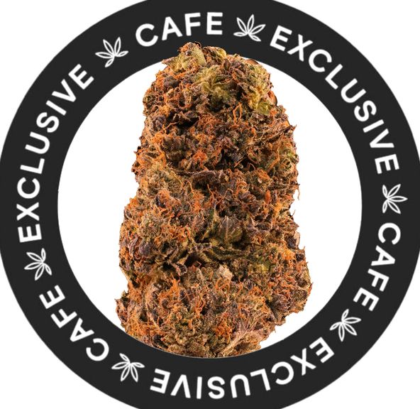 7G CAFE EXCLUSIVES- DEMON PINK