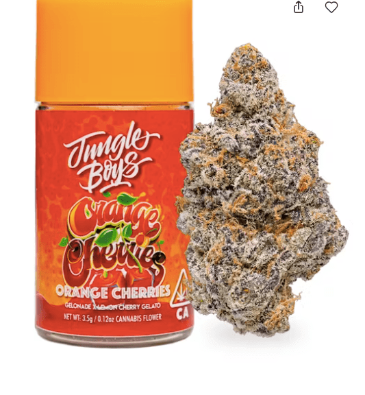Jungle Boys - Orange Cherries - 3.5g Jar