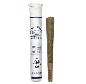 Wave Rider-Tropicana Cherry-1g-Pre Roll-31.32%