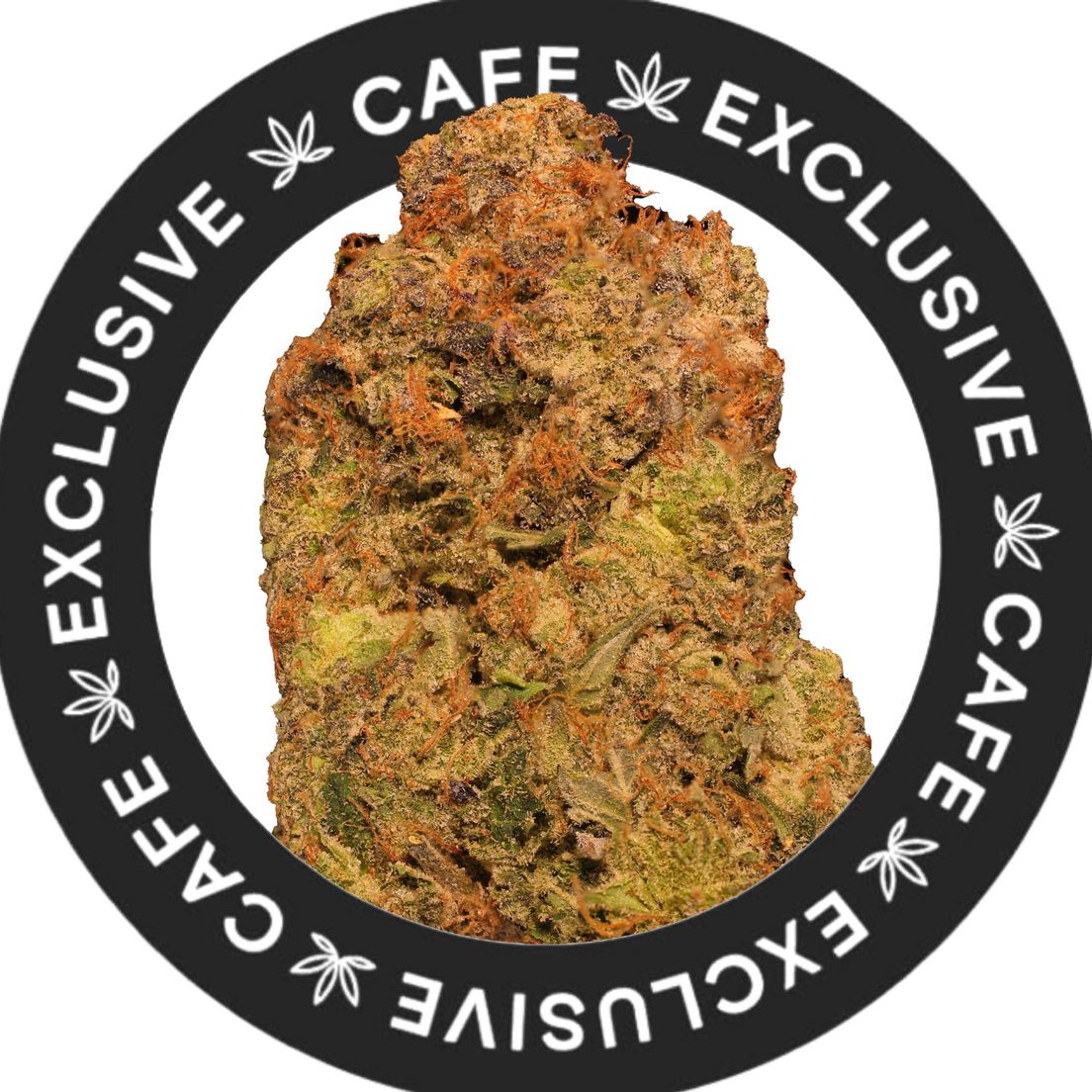 7G CAFE EXCLUSIVES- PINK CADILLAC