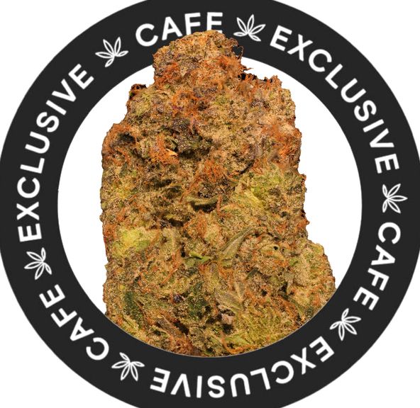 7G CAFE EXCLUSIVES- PINK CADILLAC