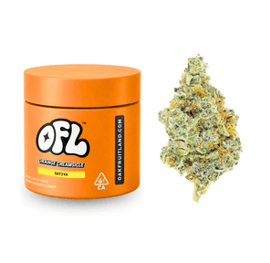 Orange Creamsicle