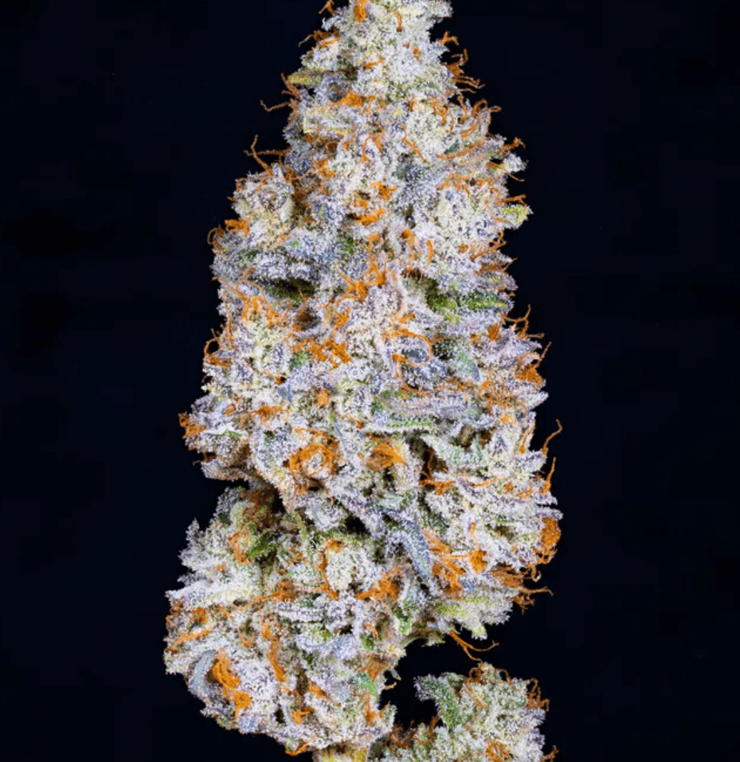 Alien Labs Indoor 3.5g - Biskanté 28%