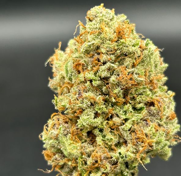 Black Lavender - Brazen Earthworx