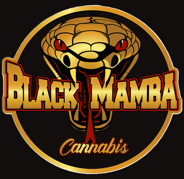 Black Mamba - Gelato 1.2g Preroll