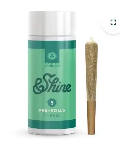&Shine 5 pack of .5 Gram Prerolls - Beaver Cookies