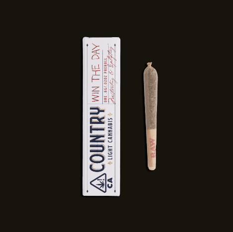 Win The Day Pre-Roll