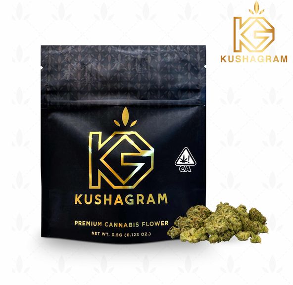 KUSHAGRAM - Super Glue 3.5g 3.5g