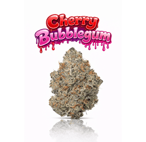 CHERRY BUBBLEGUM - 14G | INDOOR FLOWER
