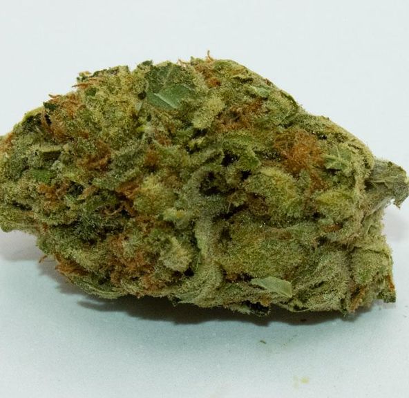 BUZZED Apricot Gelato SATIVA 1/4 Ounce