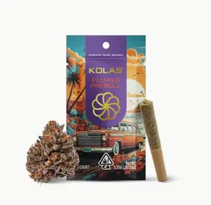 Kolas Pre-roll Mini Government Oasis .35g