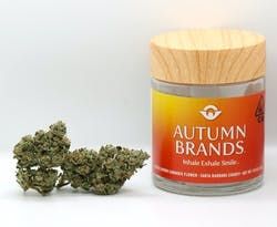 Autumn Brands Autumn OG 3.5g 22.0%