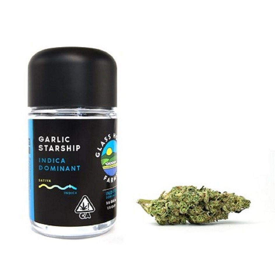 Garlic Starship