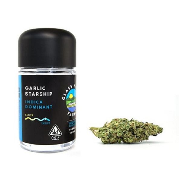 Garlic Starship