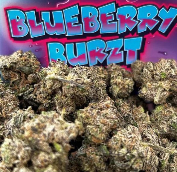 NuCannabis - Blueberry Burzt 7g -PREMIUM INDOOR FLOWERS