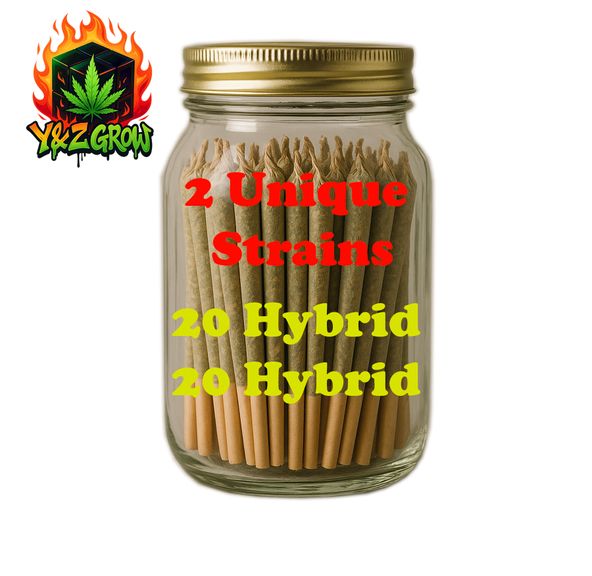40 ct. 0.75g Hybrid Pre-Roll Jar - 2 Unque Hybrid Strains